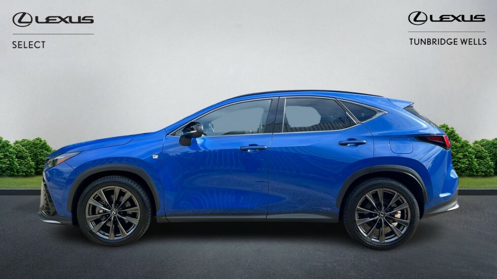 Lexus NX 2.5 450H 18.1Kwh F Sport E-cvt 4Wd Euro 6 Ss 5 Blue #3