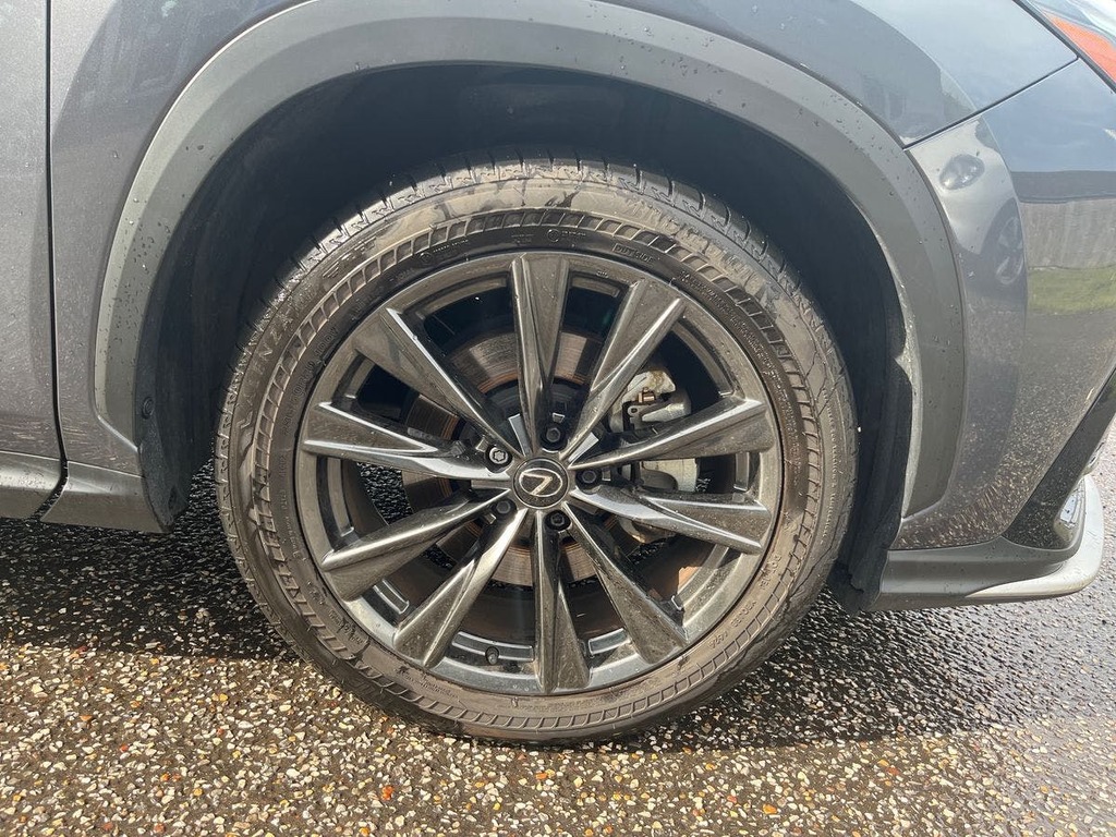 Lexus NX Premium Plus Blue #23