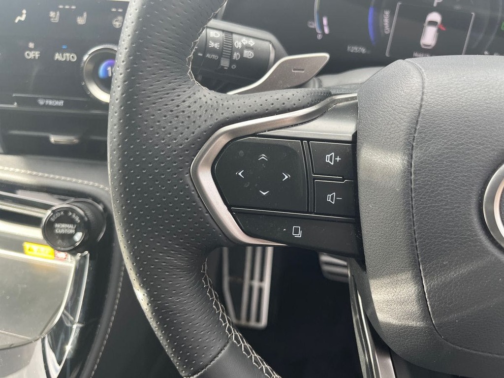 Lexus NX Premium Plus Blue #20