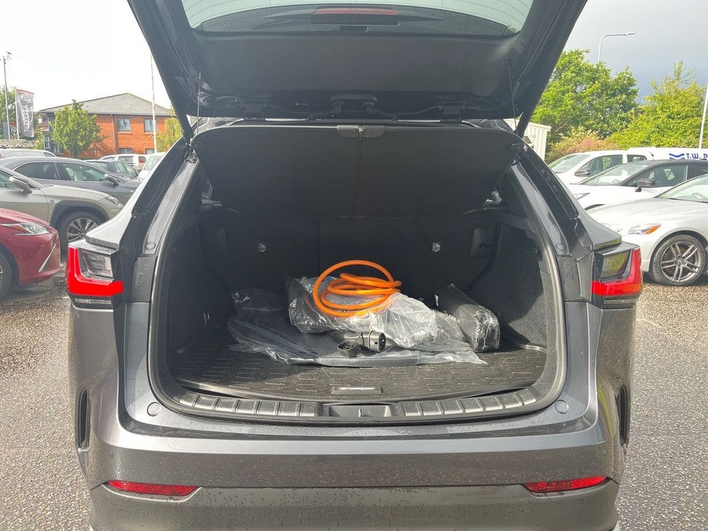Lexus NX Premium Plus Blue #22