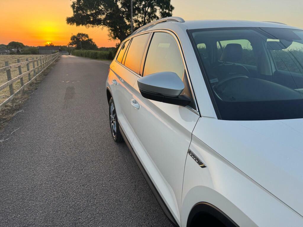 Skoda Kodiaq Se L Brown #14