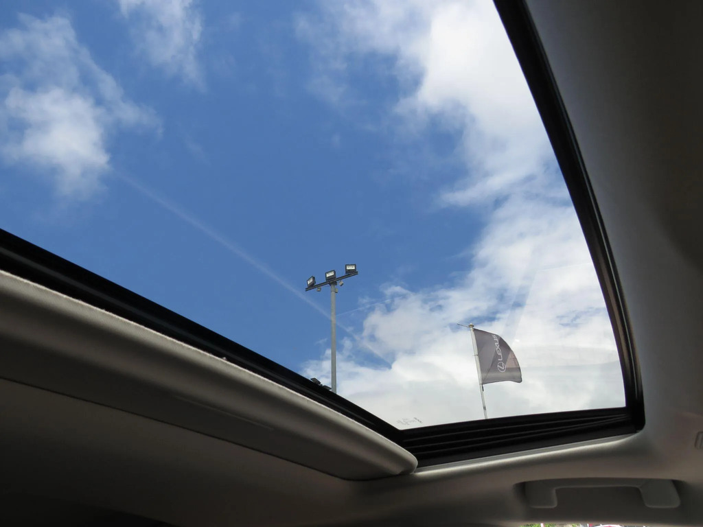 Lexus ES 300H 2.5 F-sport Cvt Silver #22