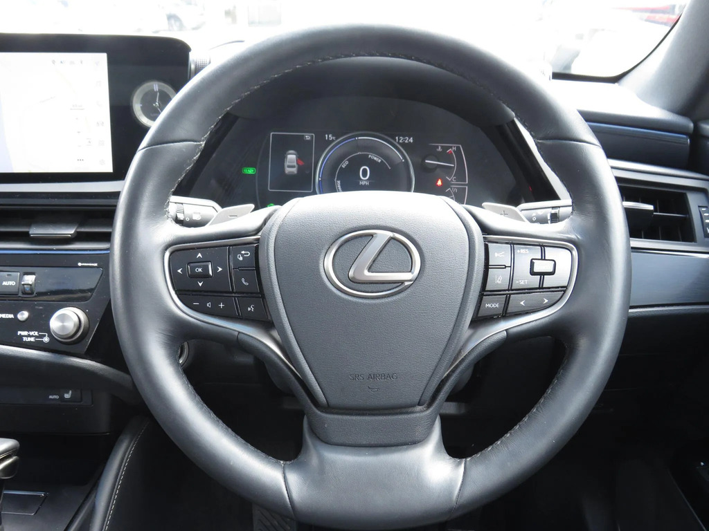 Lexus ES 300H 2.5 F-sport Cvt Silver #13