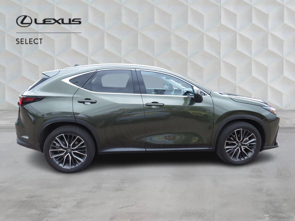 Lexus NX 2.5 350H Takumi E-cvt 4Wd Euro 6 Ss  #2