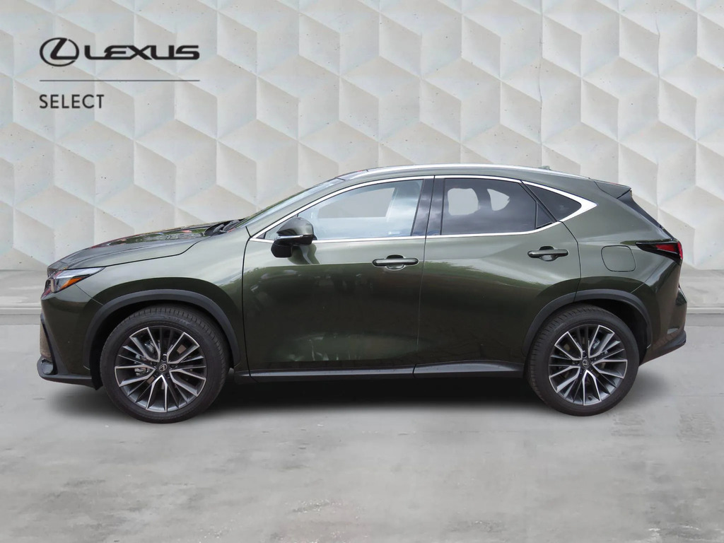 Lexus NX 2.5 350H Takumi E-cvt 4Wd Euro 6 Ss  #6