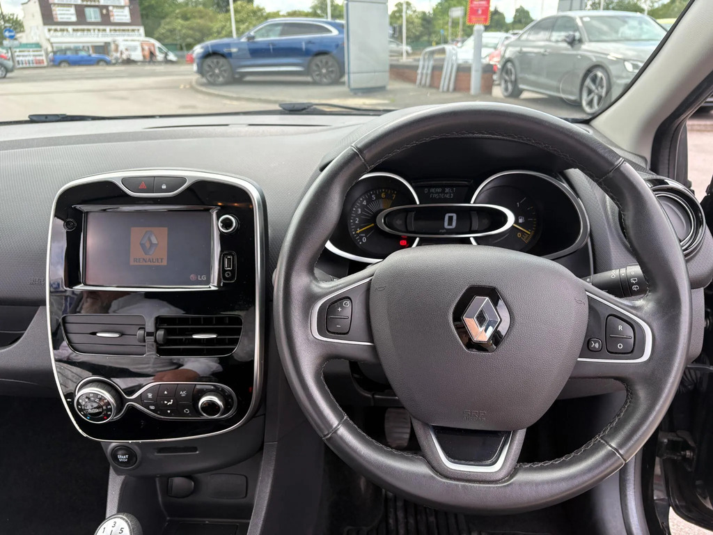 Renault Clio Brown #29