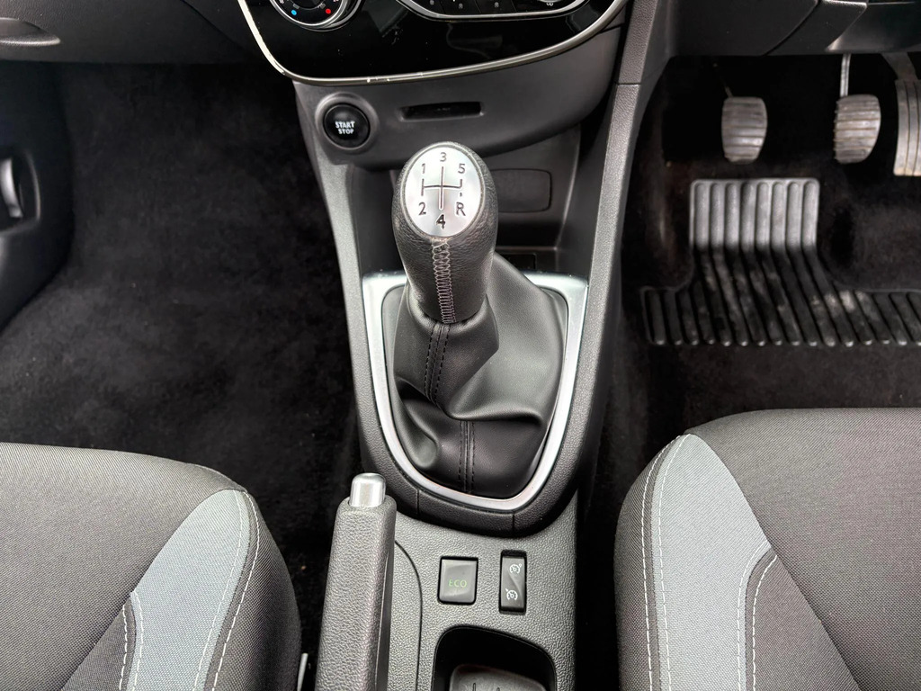 Renault Clio Brown #9