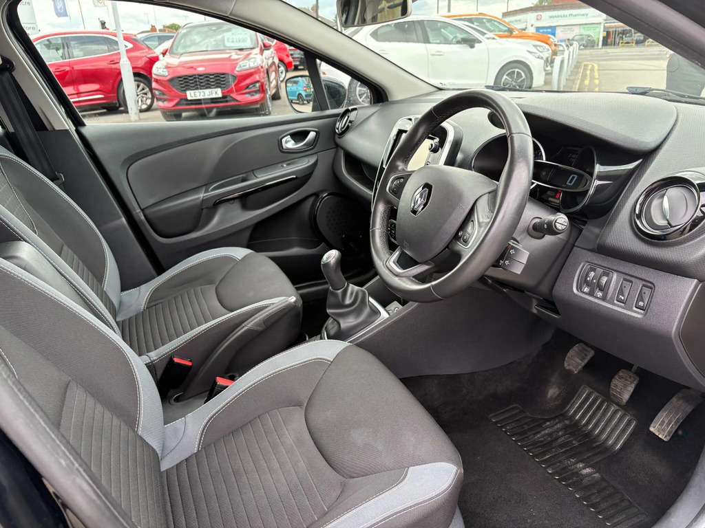 Renault Clio Brown #10