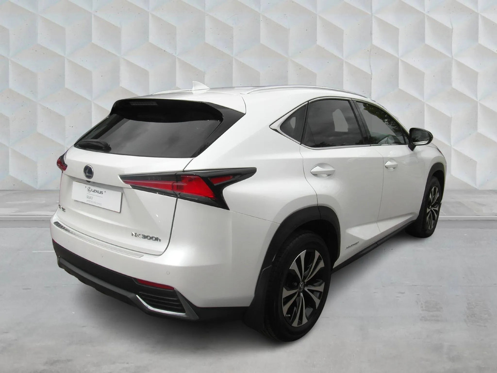 Lexus NX 300H 2.5 Cvt Premium Packleather Red #8