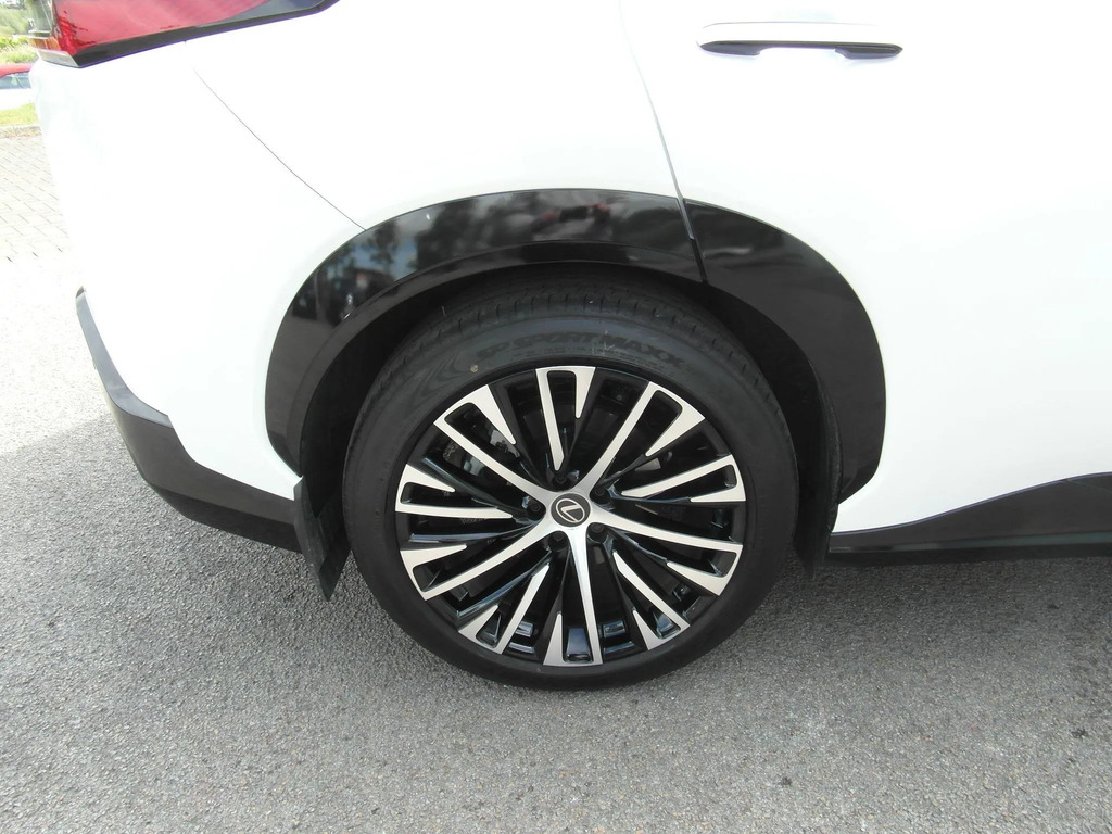 Lexus RZ 350E Premium Plus 20 Black #23