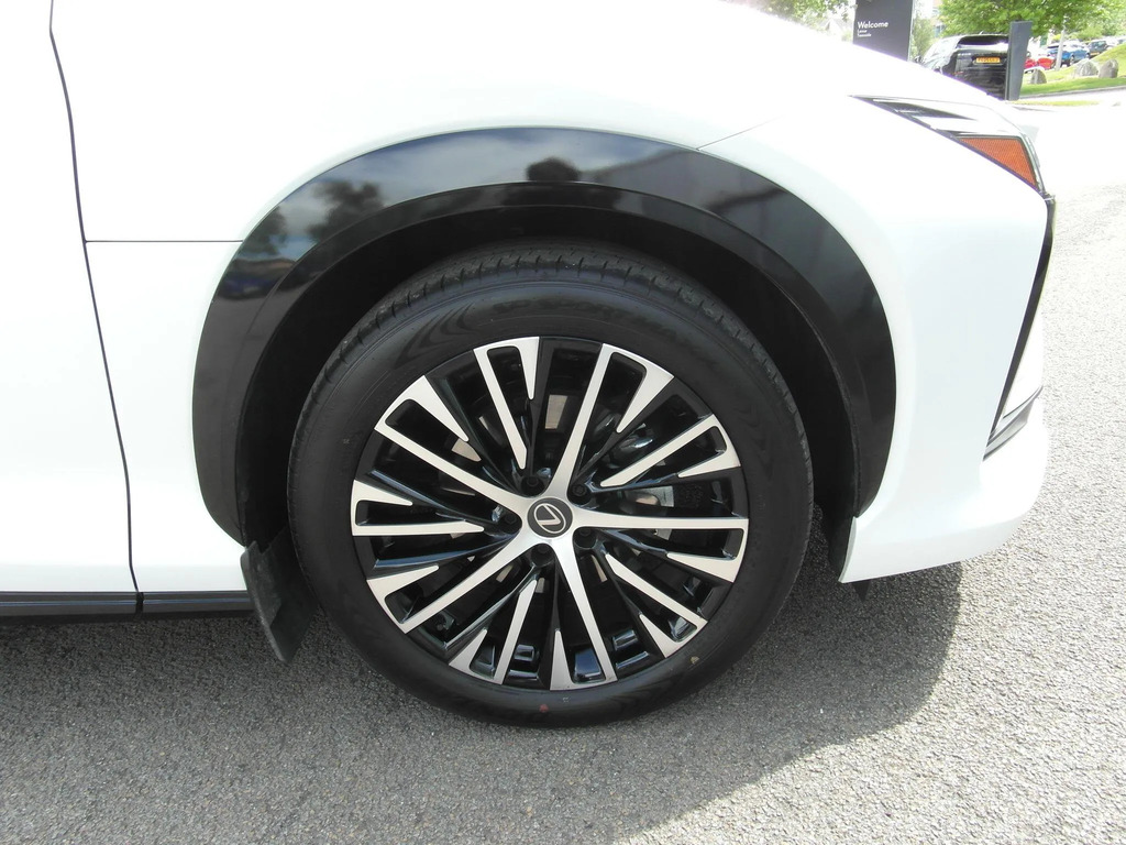 Lexus RZ 350E Premium Plus 20 Black #22