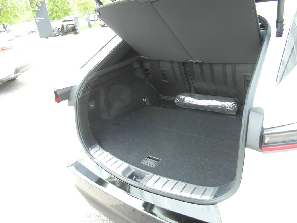 Lexus RZ 350E Premium Plus 20 Black #33