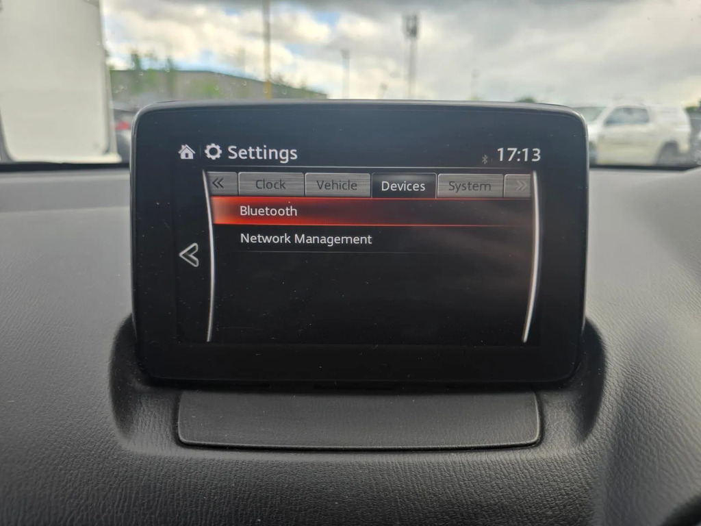 Mazda 2 Silver #20