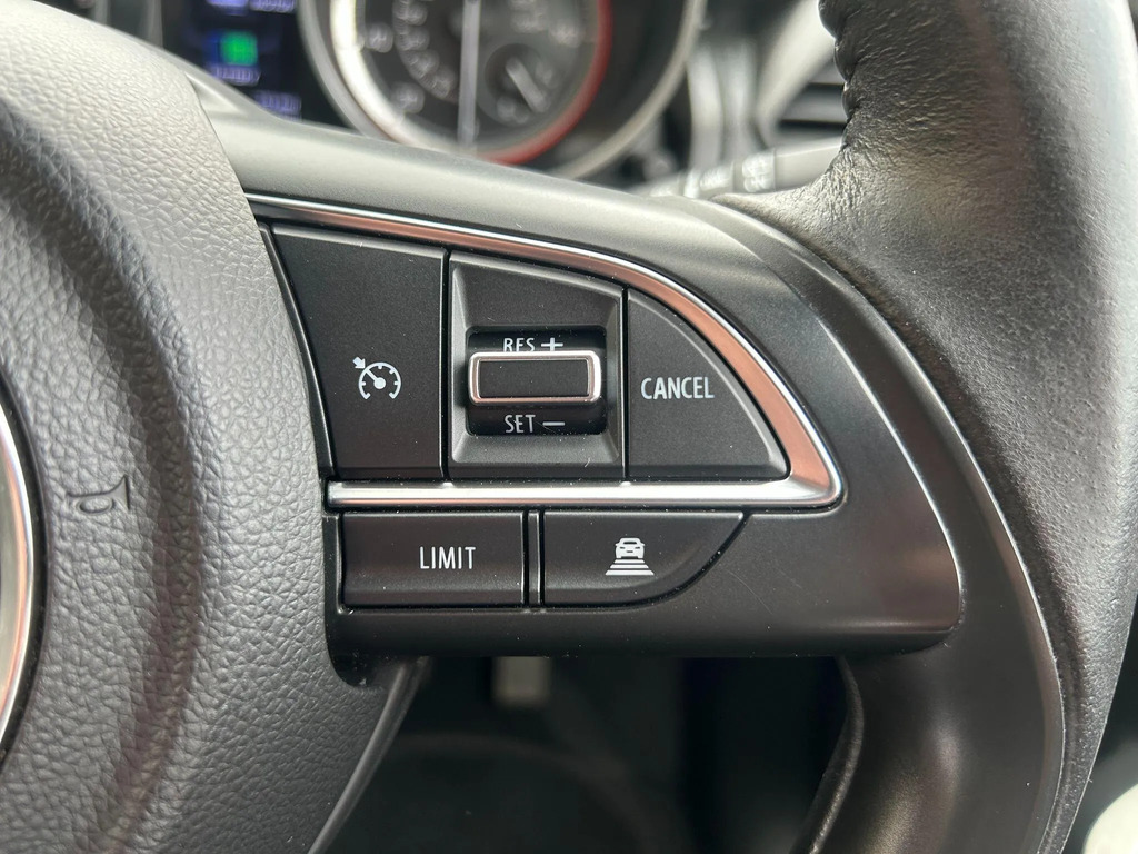 Suzuki Swift Hatchback Grey #22