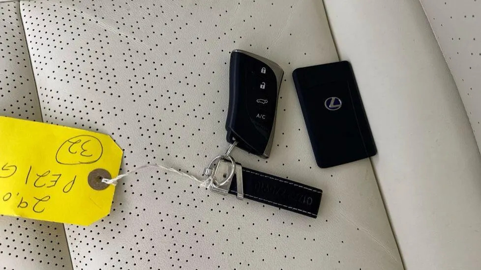 Lexus UX 300E Grey #14