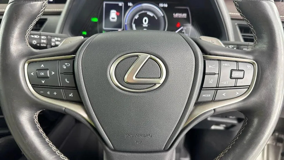 Lexus UX 300E Grey #21