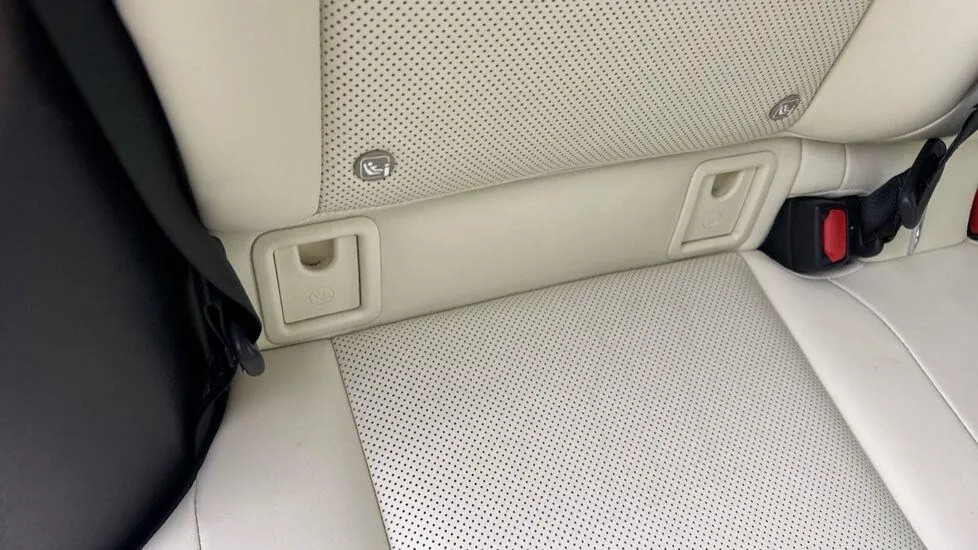 Lexus UX 300E Grey #12