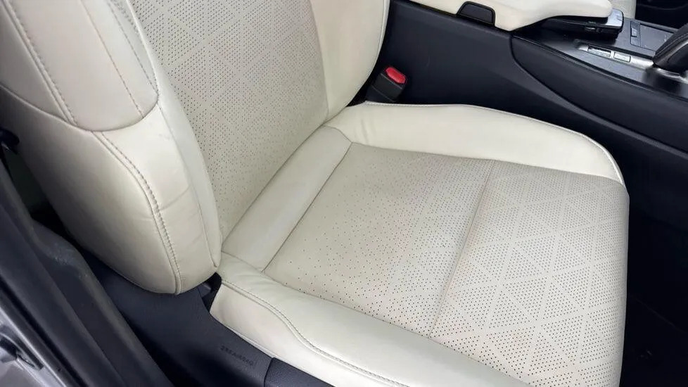Lexus UX 300E Grey #24