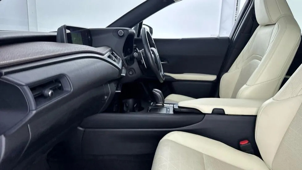 Lexus UX 300E Grey #23
