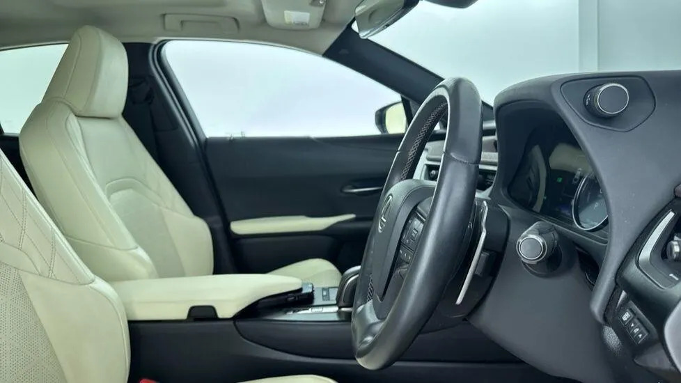 Lexus UX 300E Grey #10