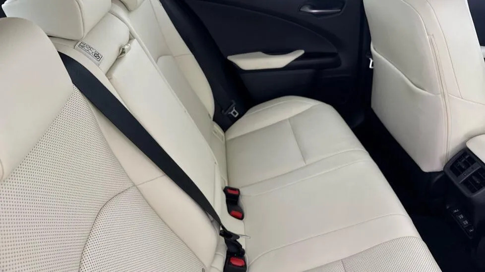 Lexus UX 300E Grey #11