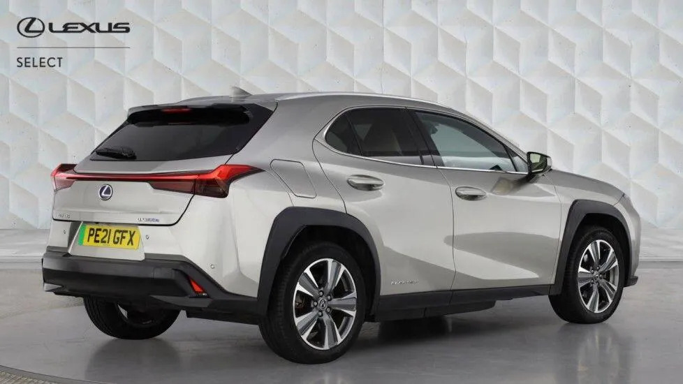 Lexus UX 300E Grey #8