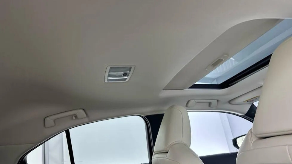 Lexus UX 300E Grey #22