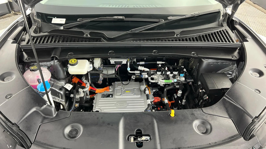 Byd Atto 2 130Kw Boost 51Kwh Green #21