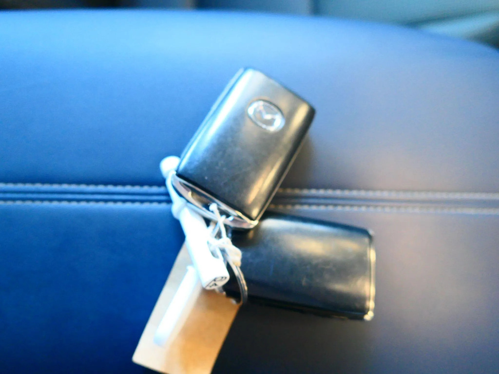 Mazda CX-30 Petrol Silver #24