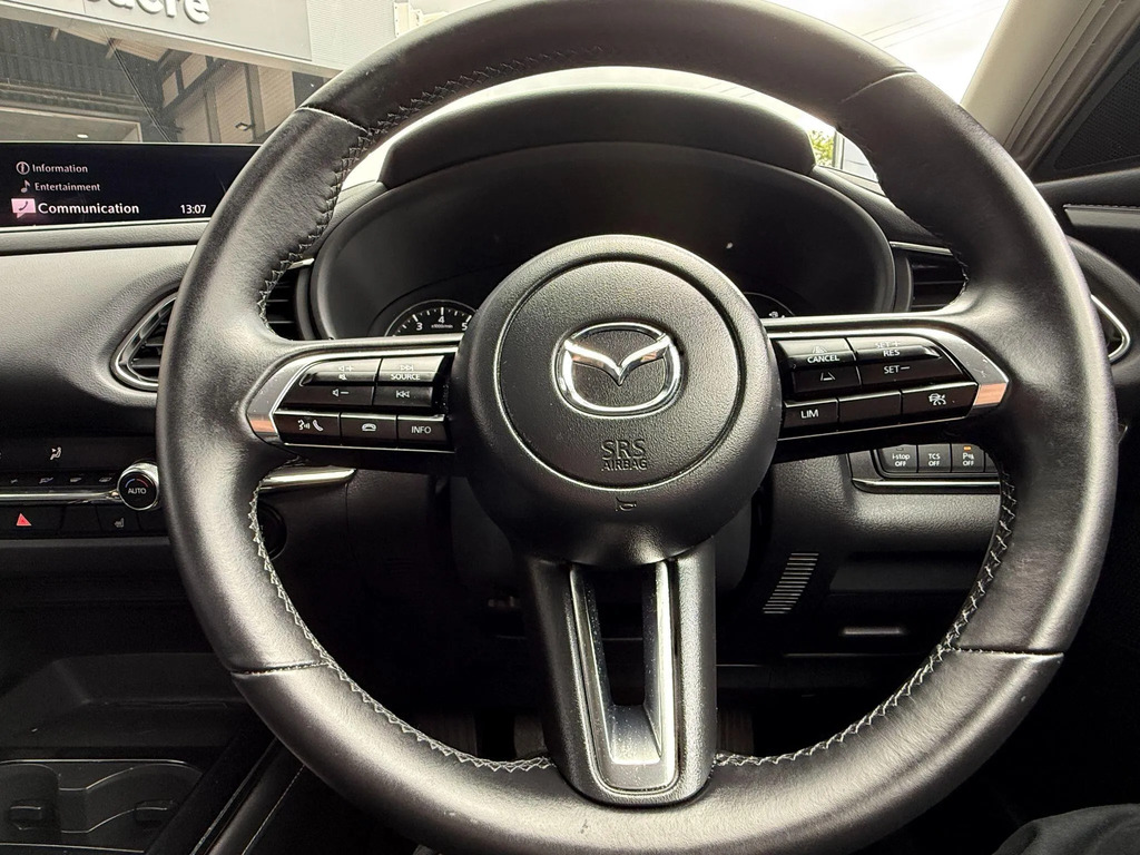 Mazda CX-30 2.0 E-skyactiv X Grey #14