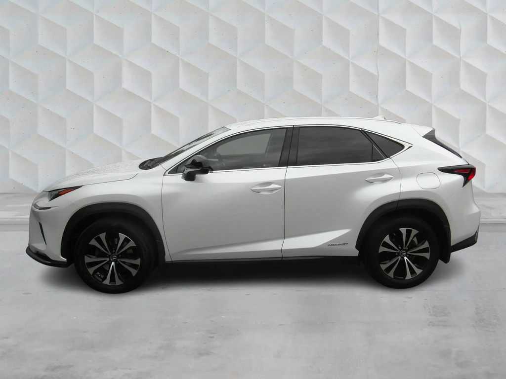 Lexus NX 300H 2.5 Cvt 8 Nav  #5