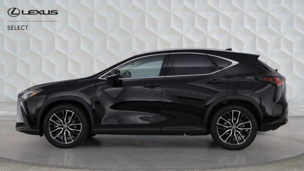 Lexus NX 2.5 450H 18.1Kwh Takumi E-cvt 4Wd Euro 6 Ss WU25UNH #6