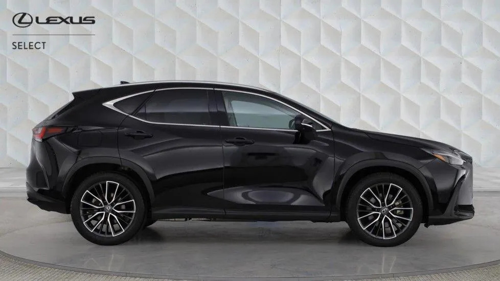 Lexus NX 2.5 450H 18.1Kwh Takumi E-cvt 4Wd Euro 6 Ss  #2