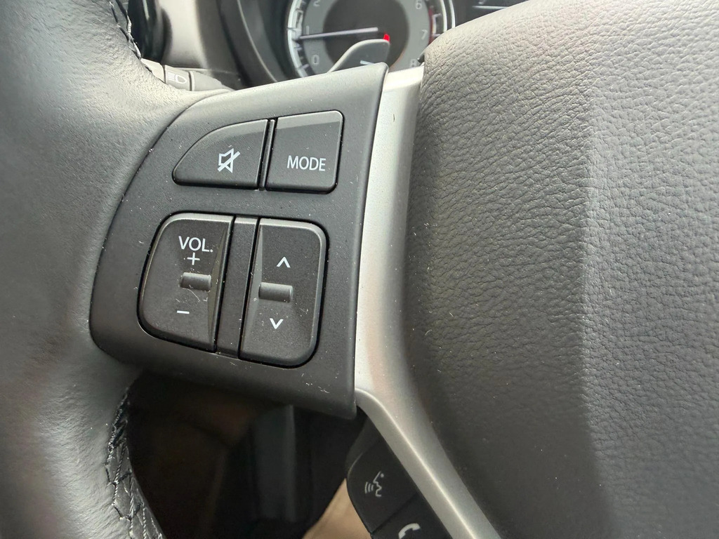 Suzuki S Cross 2022 22 Motion #14