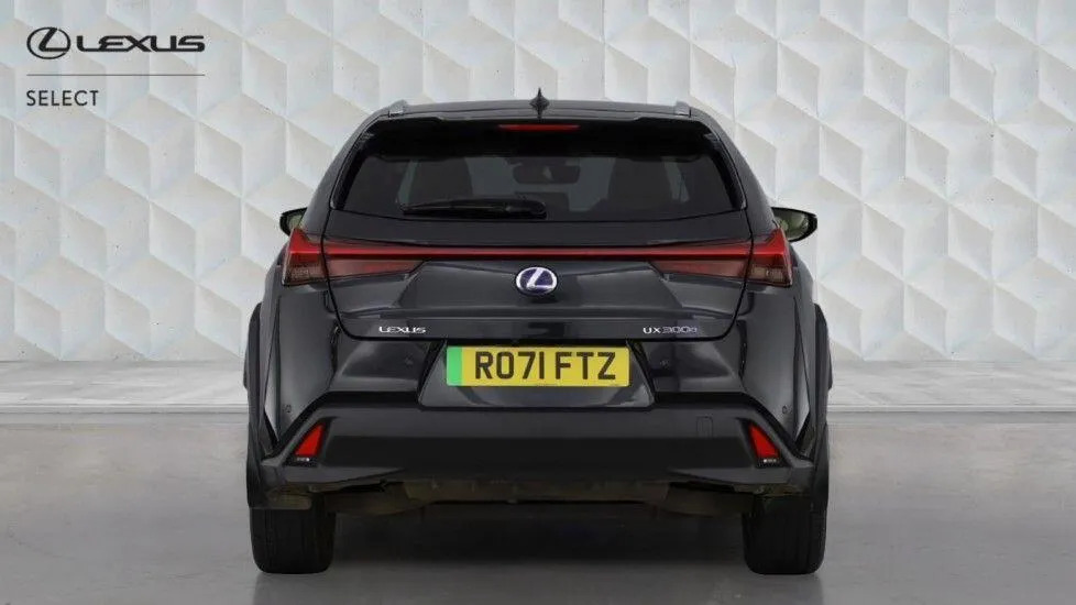 Lexus UX 300E 54.3Kwh Takumi Black #5