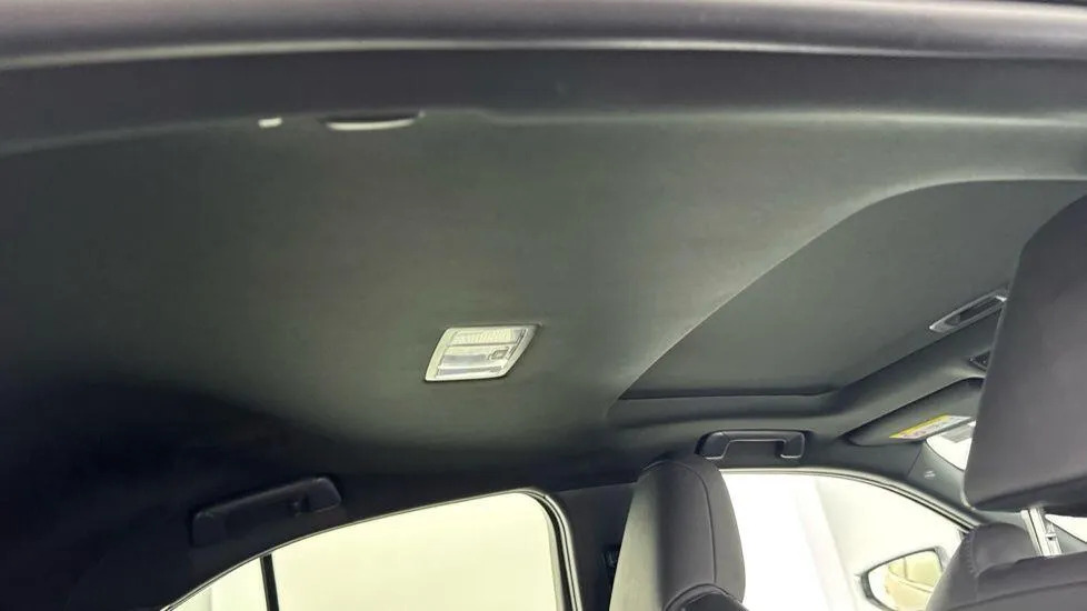 Lexus UX 300E 54.3Kwh Takumi Silver #20