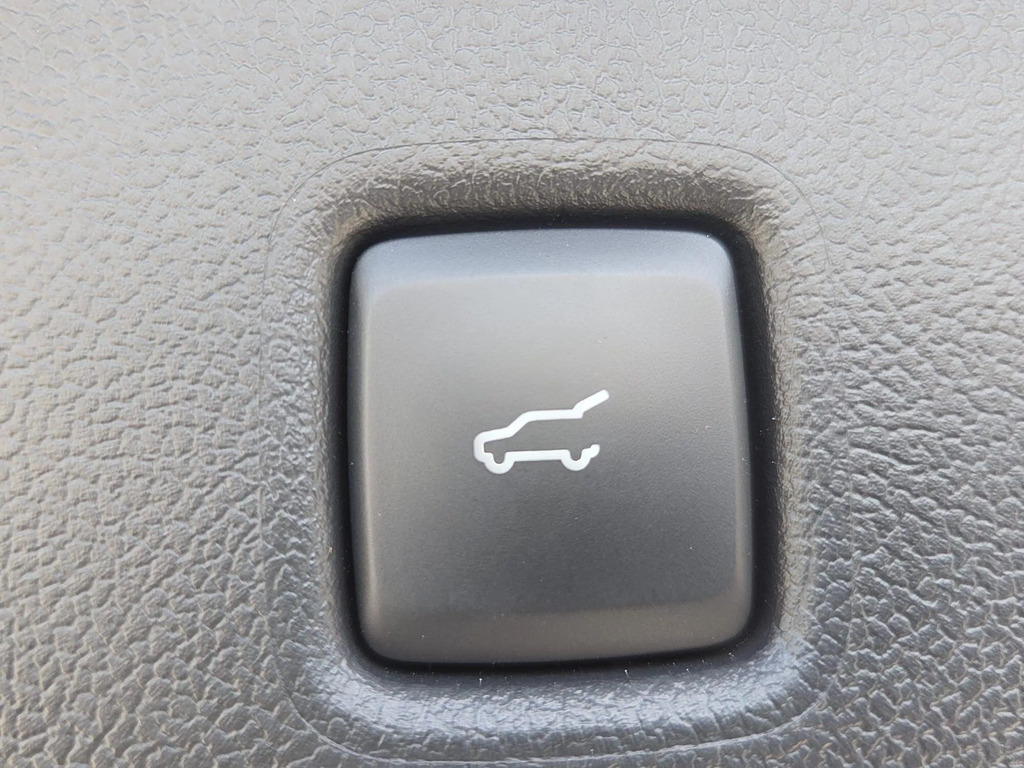 Ford Kuga 2.5 Fhev St-line X Cvt Green #14