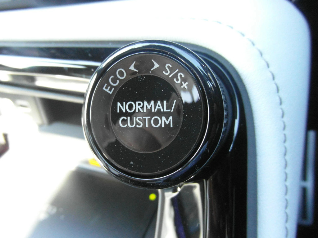 Lexus NX 2.5 450H 18.1Kwh Premium Plus Suv Plug #32