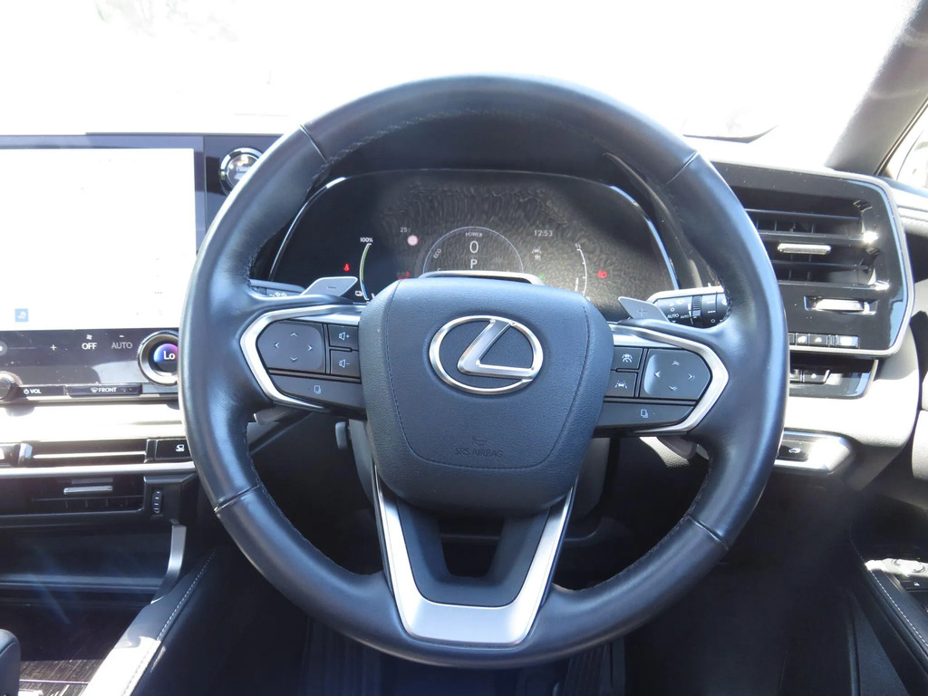 Lexus RX 450H 2.5 E-cvt Premium Packsunroof Silver #12