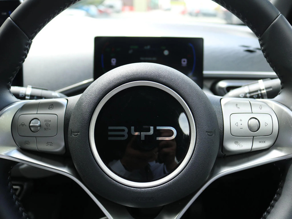 Byd Dolphin 65Kw Boost 43Kwh Black #17