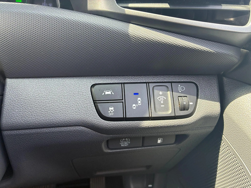 Hyundai Ioniq 1St Edition Red #13