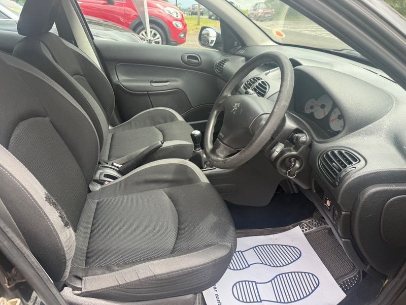 Peugeot 206 Blue #13
