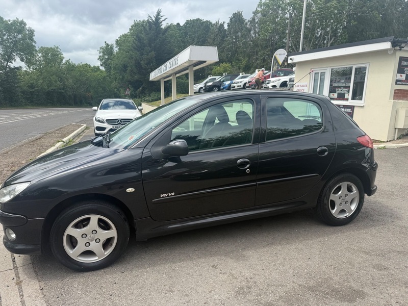 Peugeot 206 Blue #19