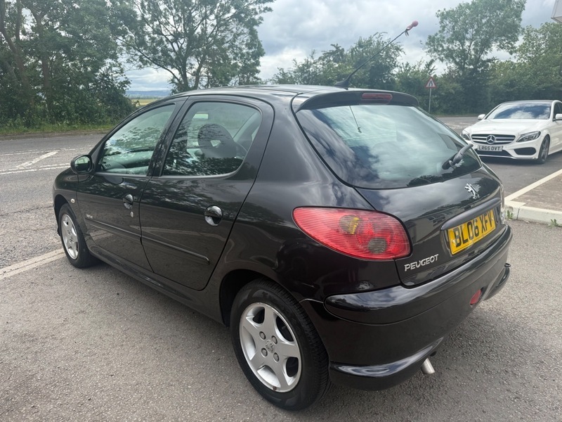 Peugeot 206 Blue #17