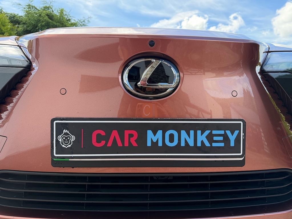Lexus RZ 300E 150Kw Premium 71 Kwh Grey #17