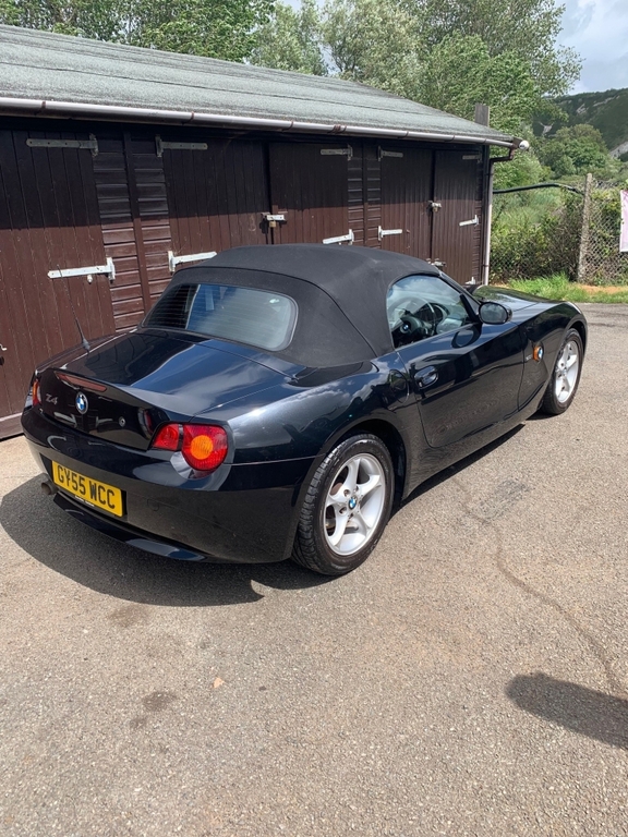 BMW Z4   #5