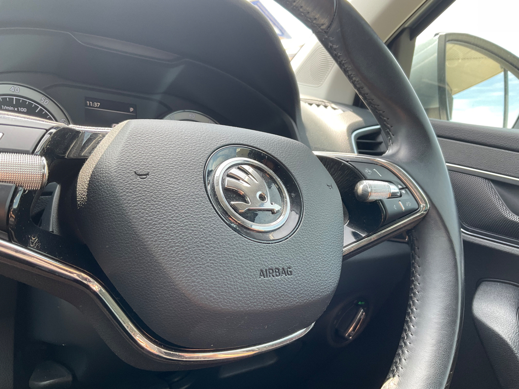 Skoda Karoq Edition Grey #28