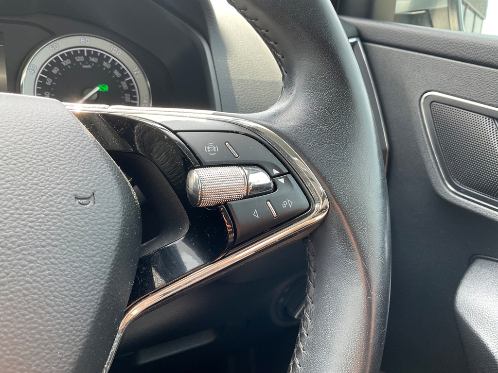 Skoda Karoq Edition Grey #26