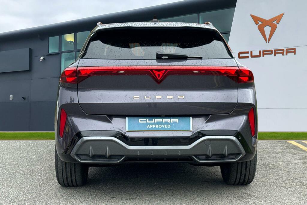 Cupra Terramar 1.5 Etsi V2 Dsg Euro 6 Ss Purple #4
