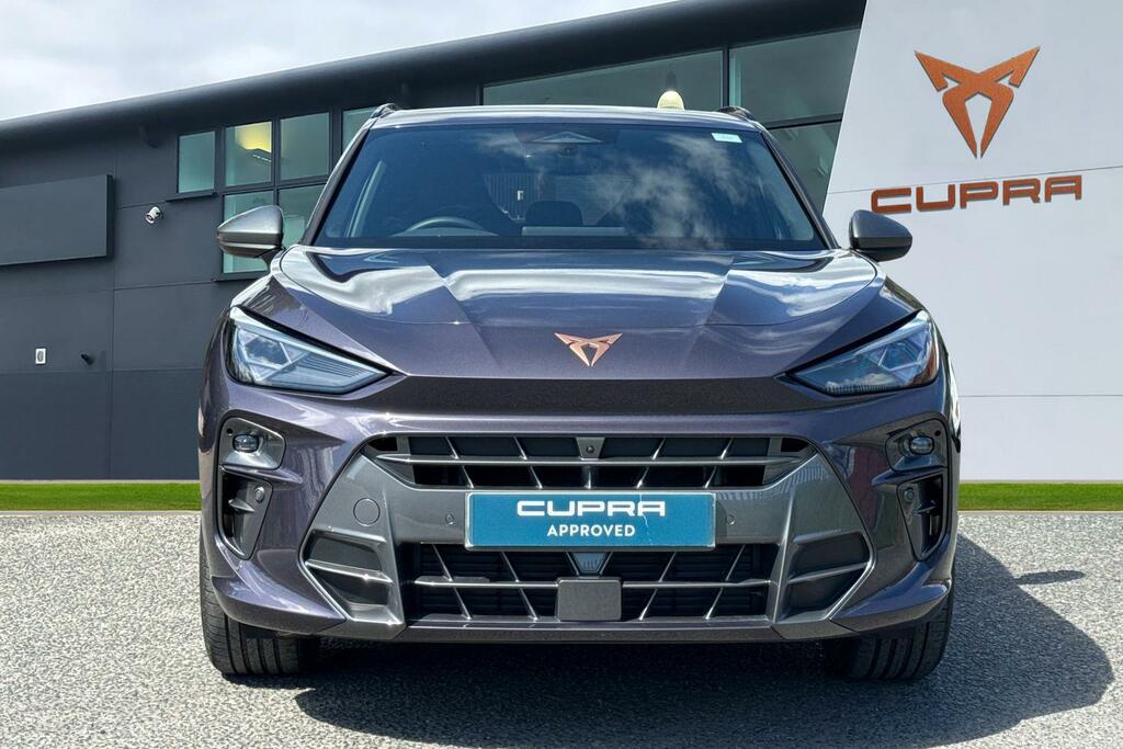 Cupra Terramar 1.5 Etsi V2 Dsg Euro 6 Ss Purple #5